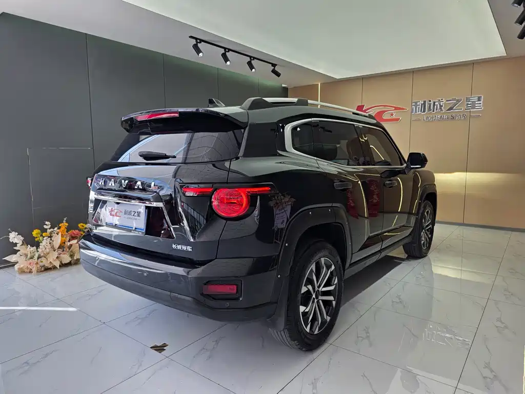Haval Big Dog PLUS — фото 4