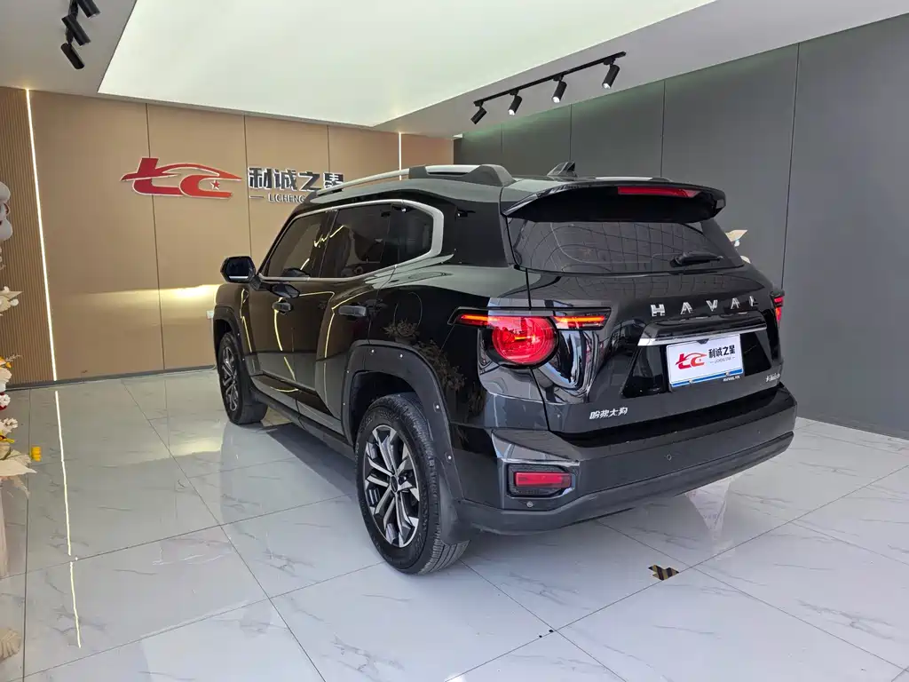 Haval Big Dog PLUS — фото 6