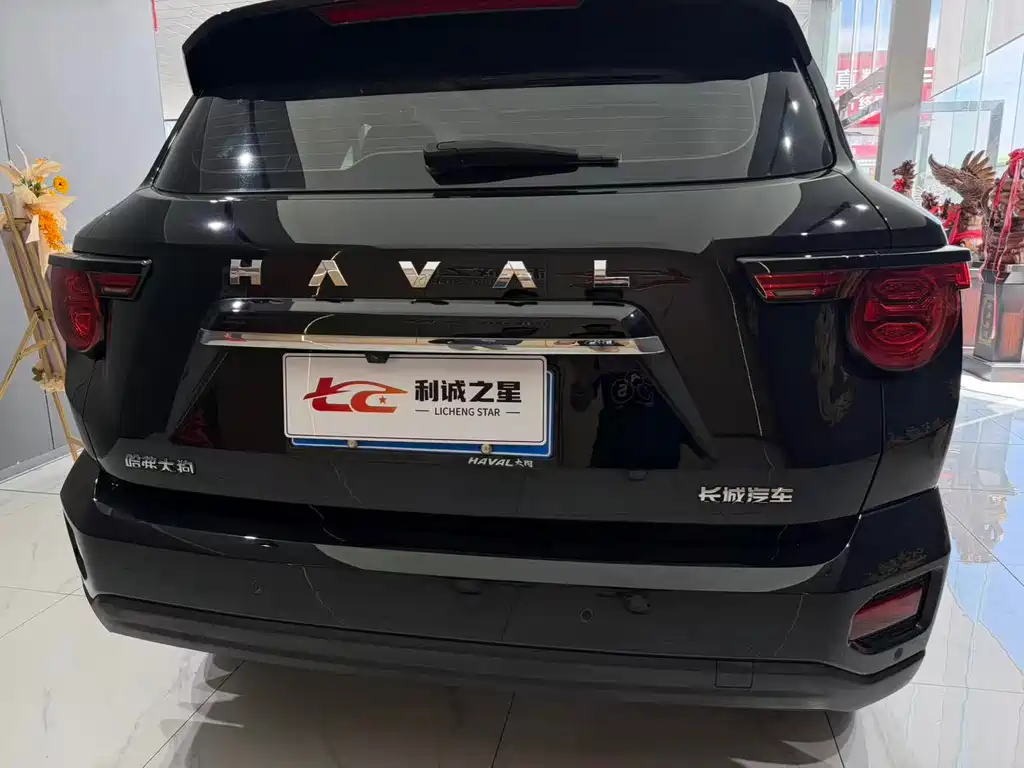 Haval Big Dog PLUS — фото 10