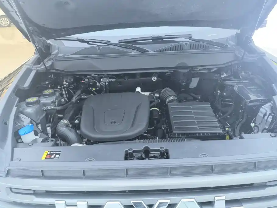 Haval Menglong New Energy — фото 10