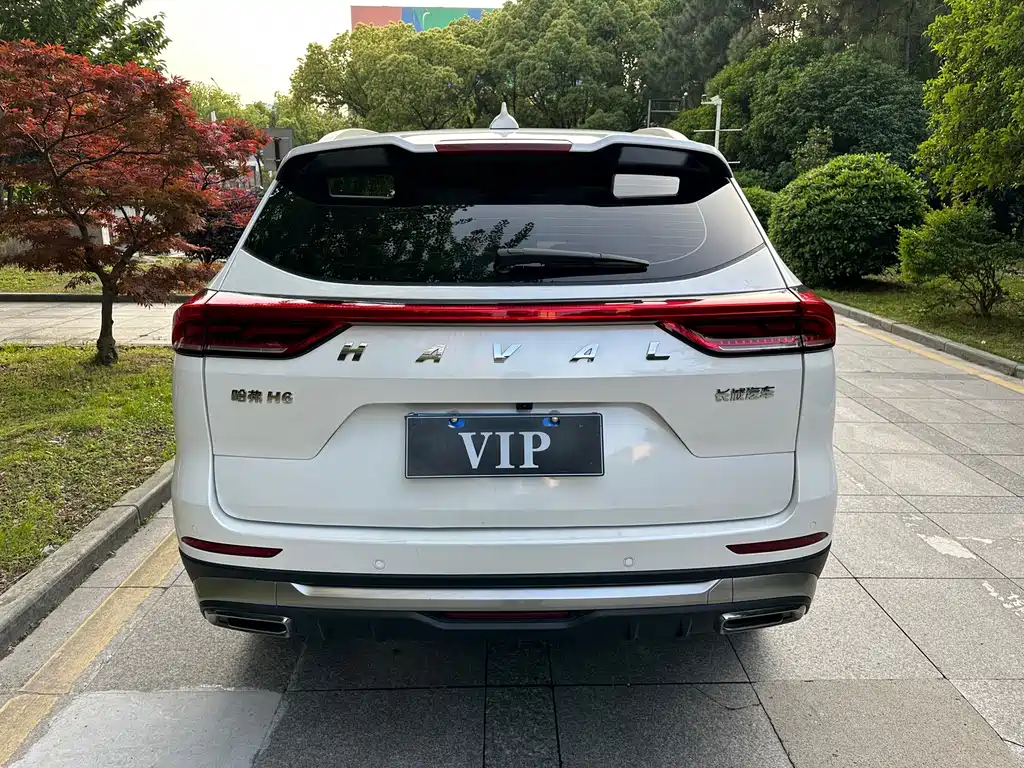Haval H6 — фото 11