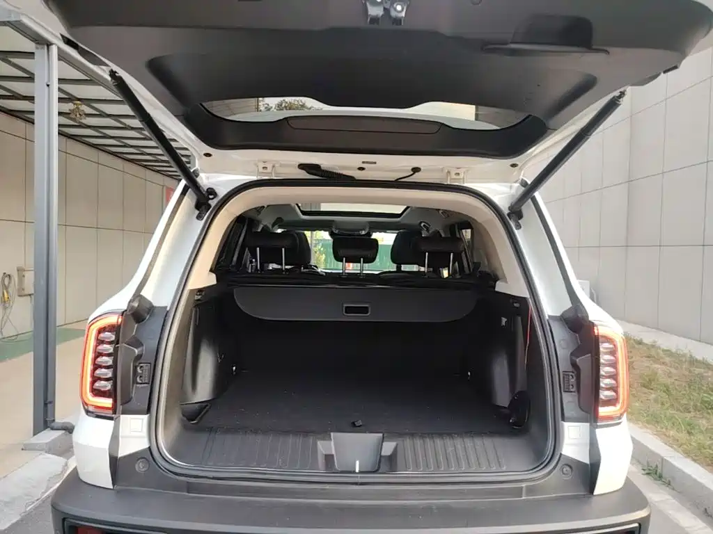 Haval Big Dog — фото 19