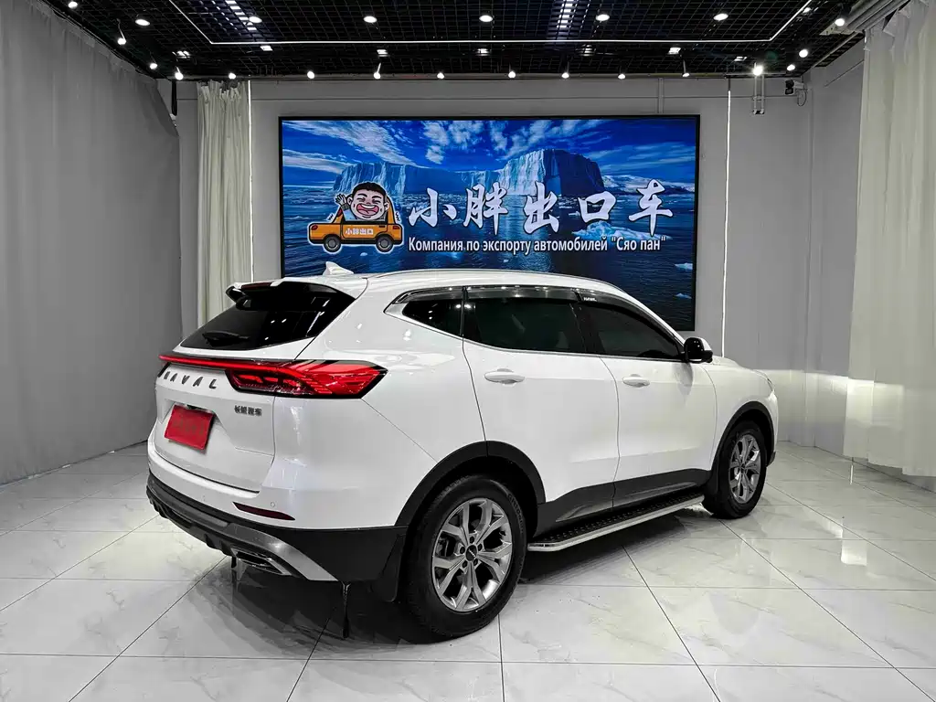 Haval H6 — фото 4