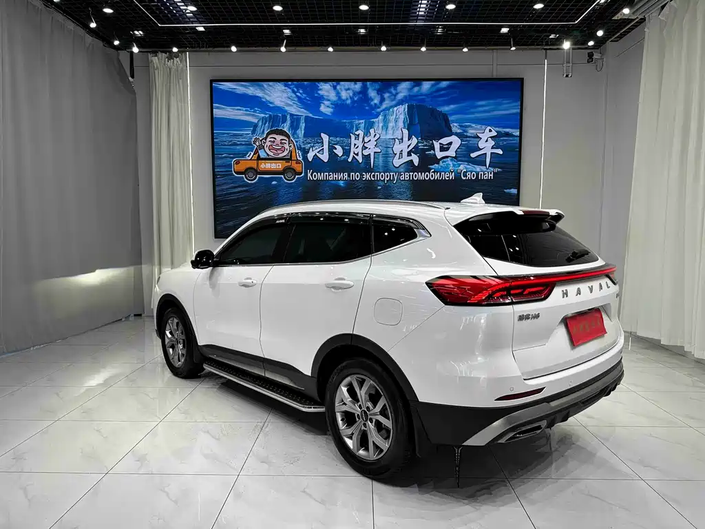 Haval H6 — фото 6