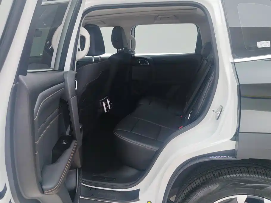 Haval Big Dog — фото 11