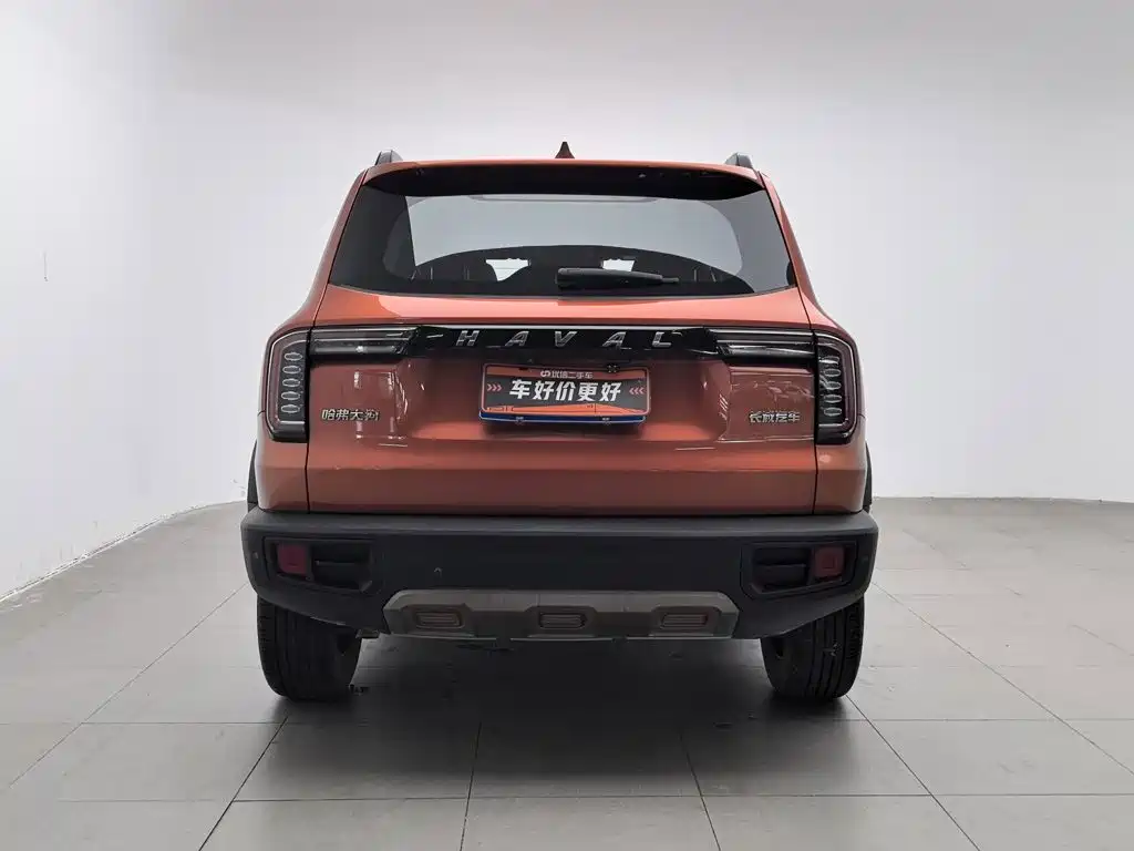 Haval Big Dog — фото 4