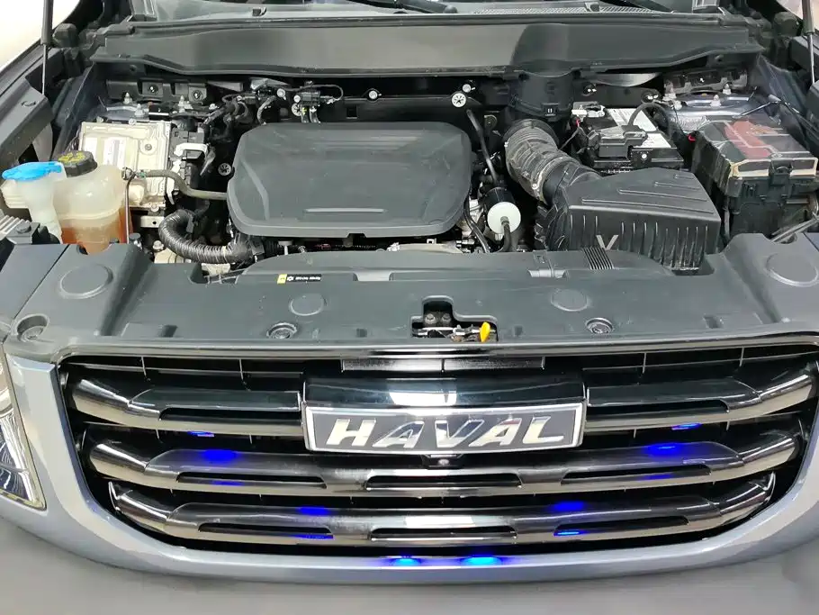 Haval Big Dog — фото 10
