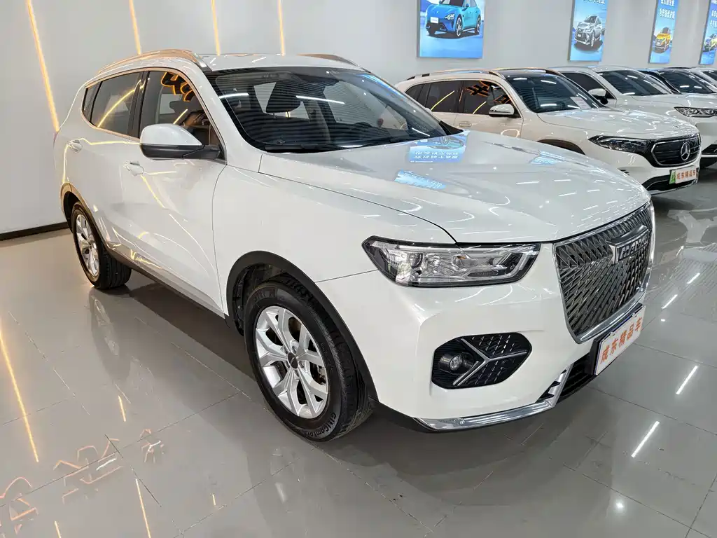 Haval H6 — фото 3
