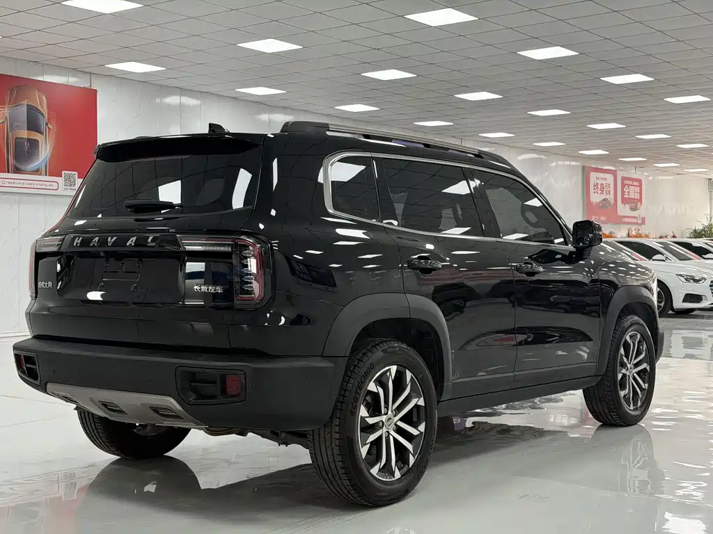 Haval Big Dog — фото 6