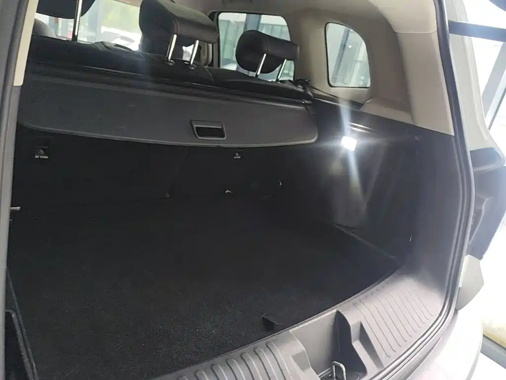 Haval Big Dog — фото 19