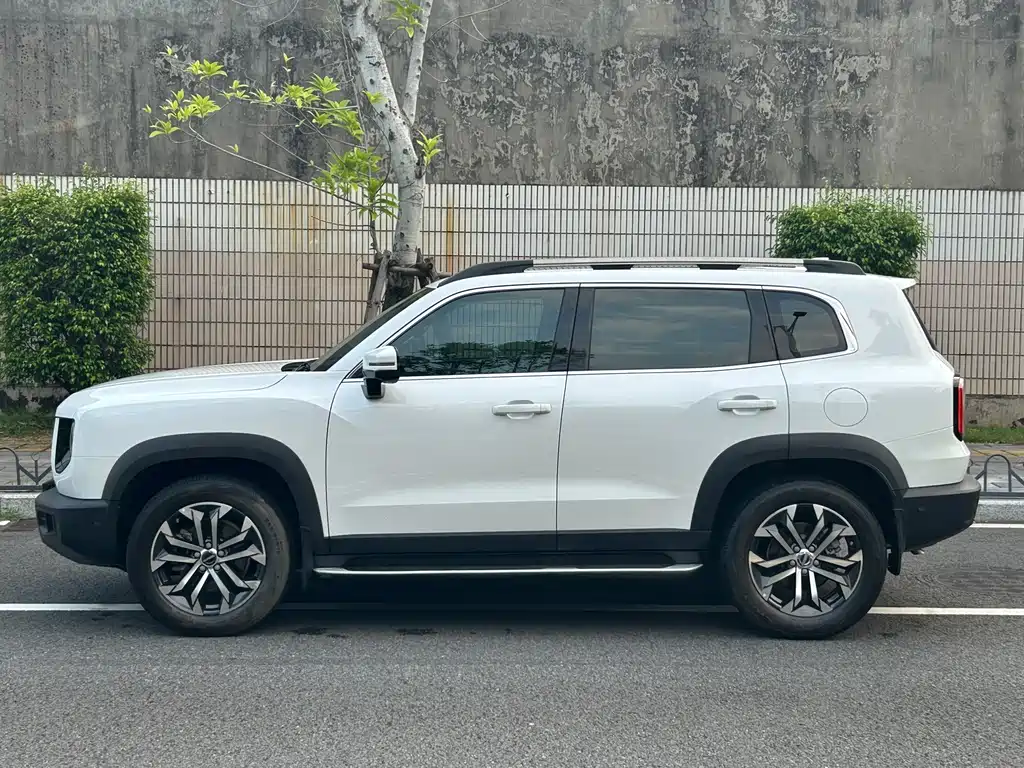 Haval Big Dog — фото 8