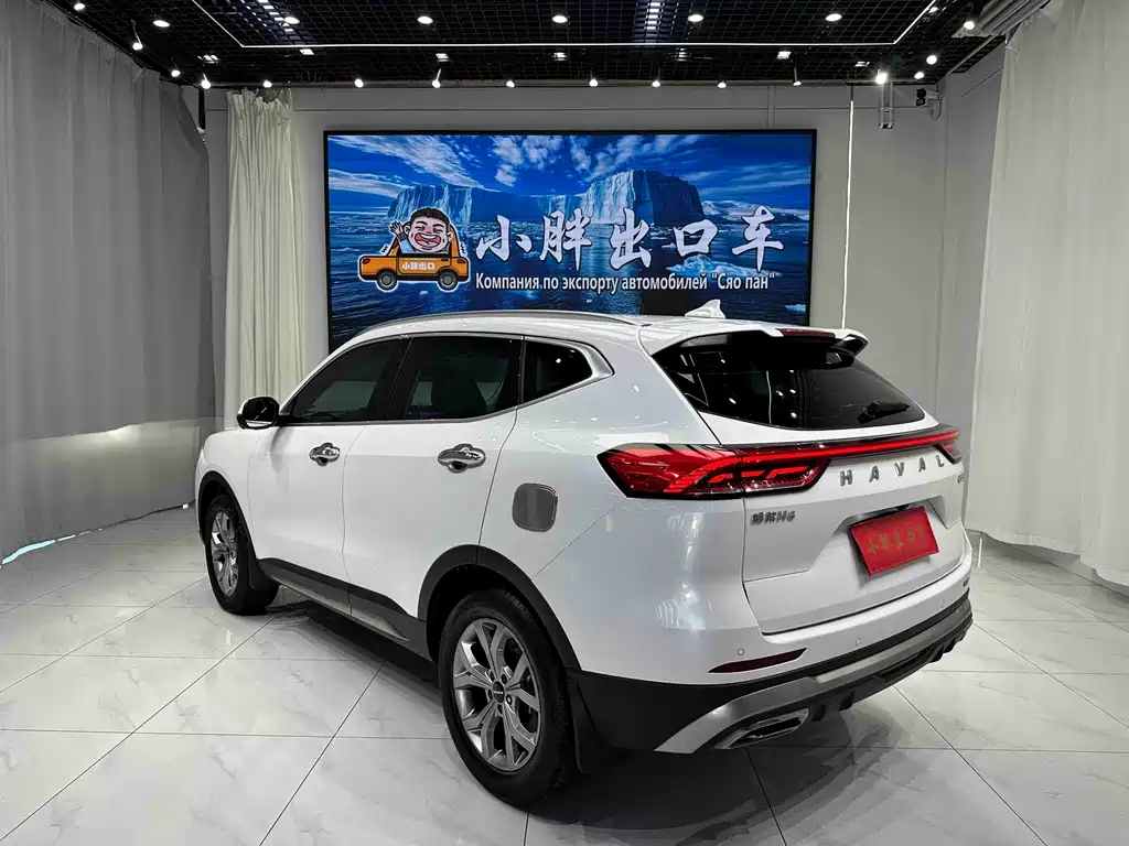 Haval H6 — фото 9
