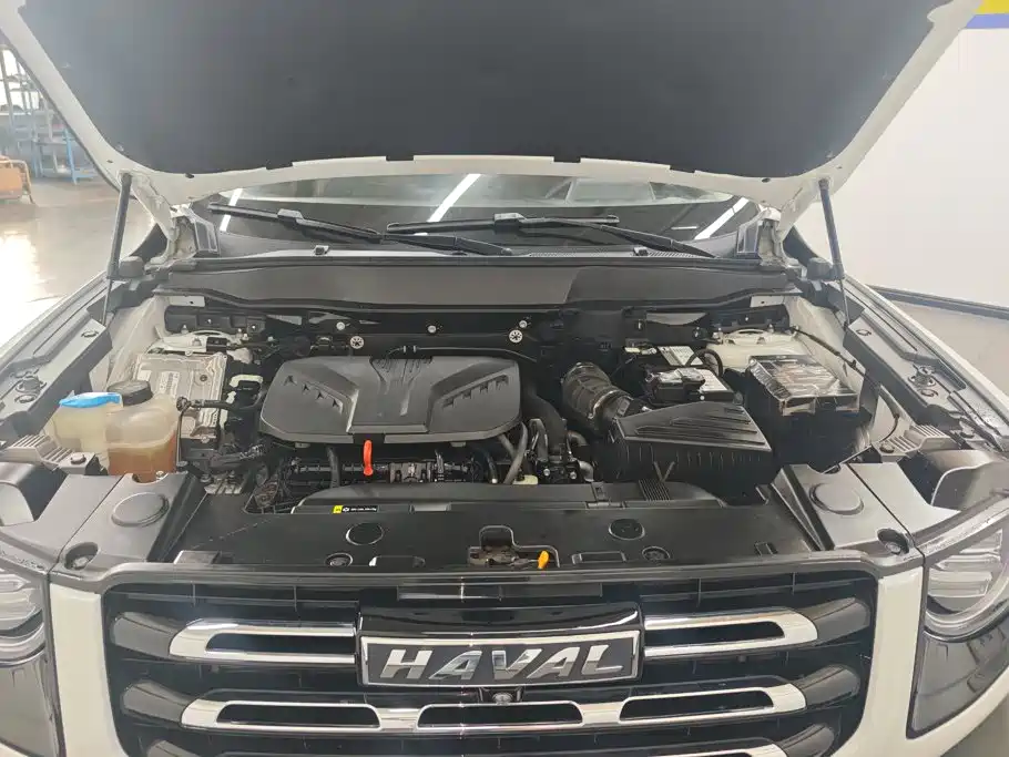 Haval Big Dog — фото 10