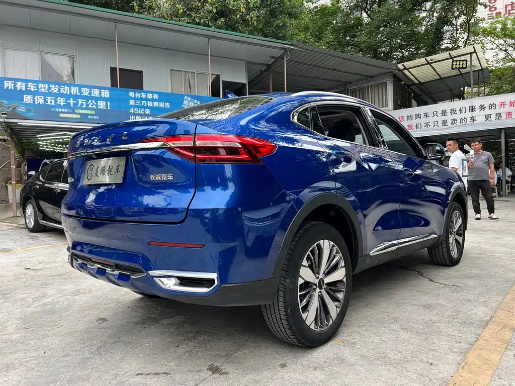 Haval F7x — фото 19