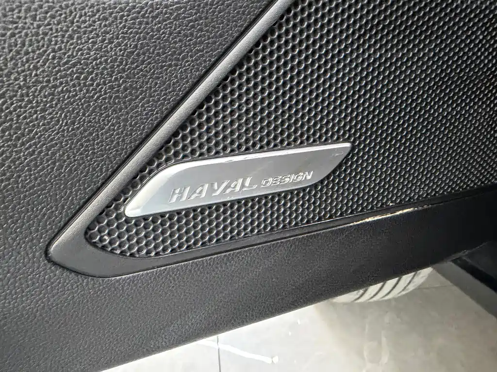 Haval Big Dog — фото 14