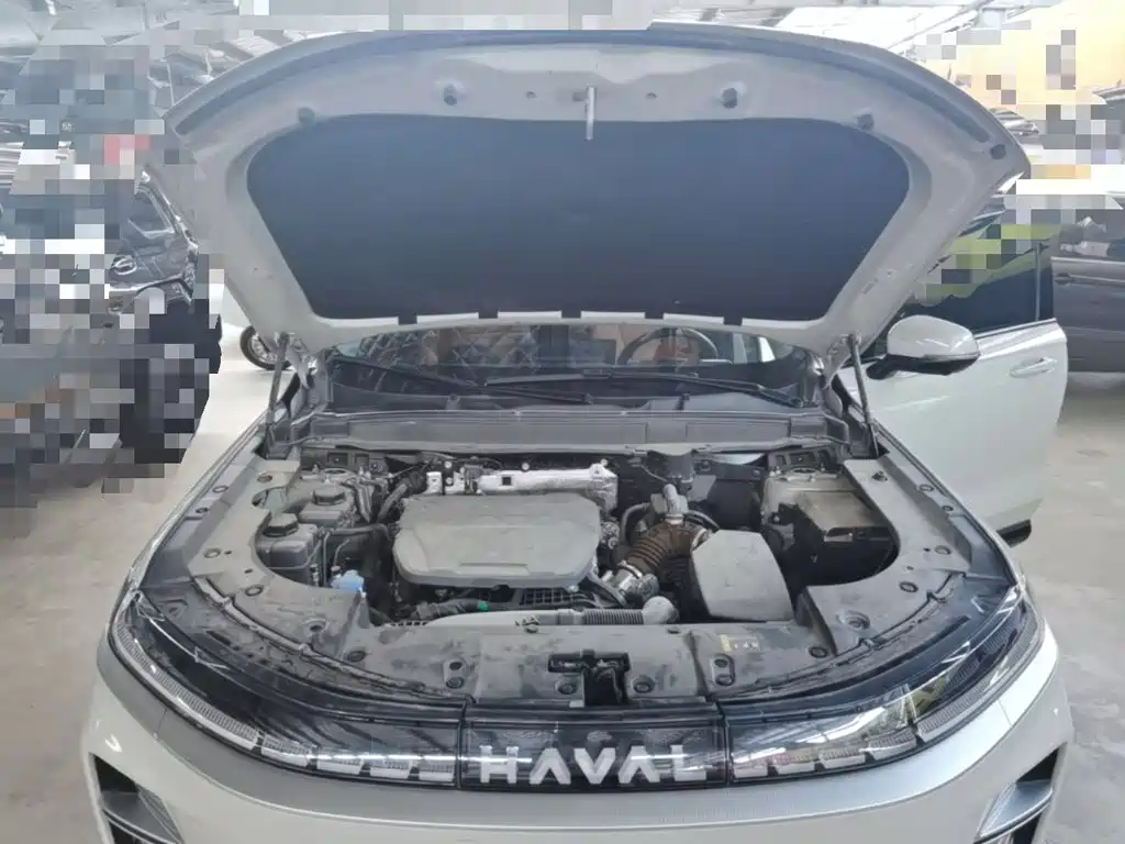 Haval Xiaolong MAX — фото 20