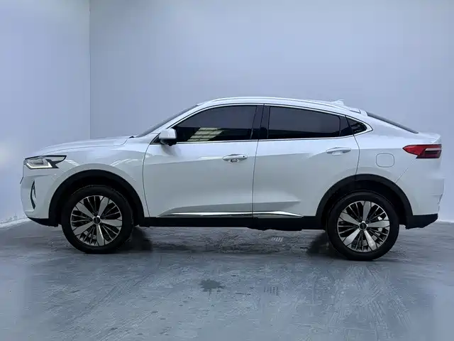 Haval F7x — фото 11