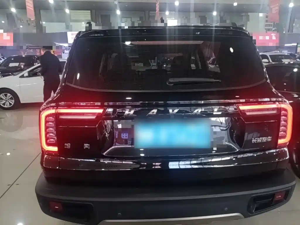 Haval Big Dog — фото 6