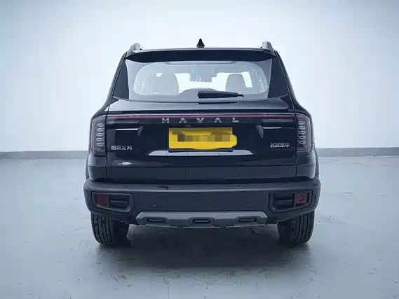 Haval Big Dog — фото 11