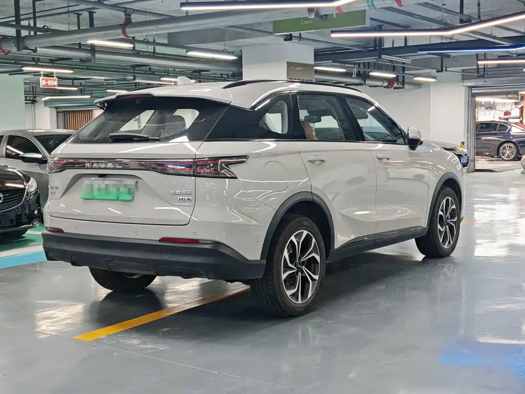 Haval Xiaolong MAX — фото 14