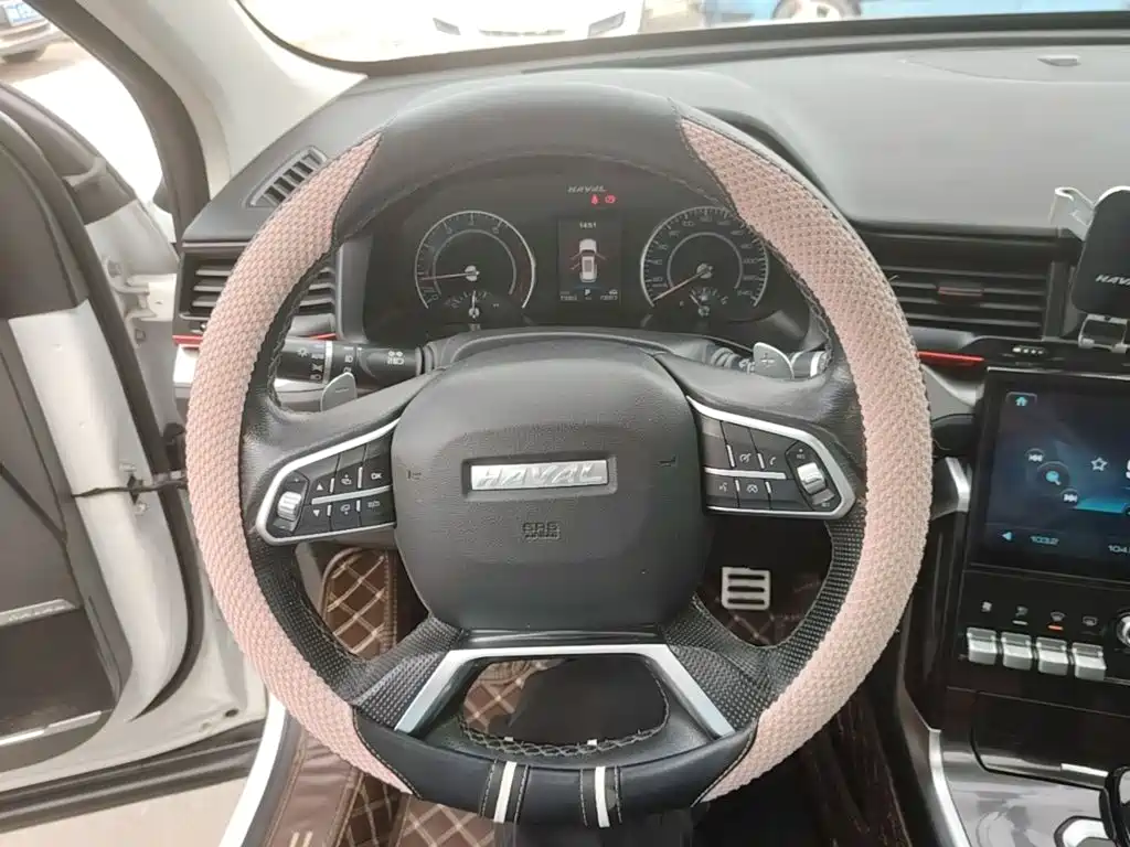 Haval H4 — фото 11
