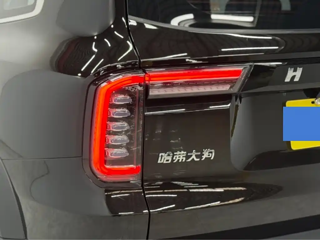 Haval Big Dog — фото 9