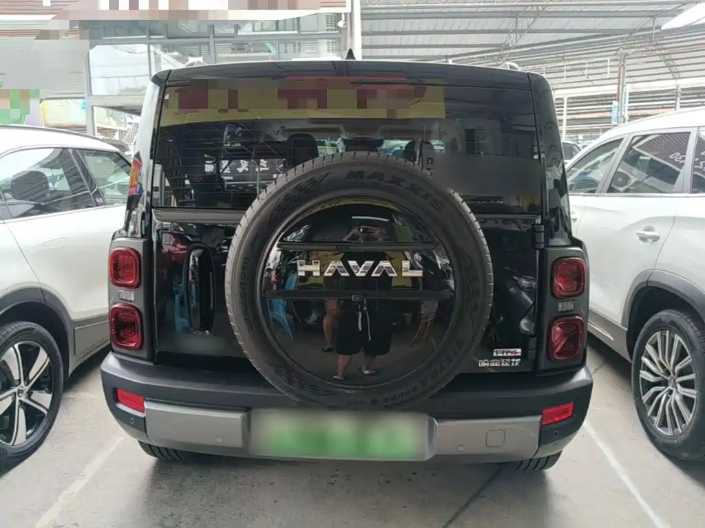 Haval Menglong New Energy — фото 6