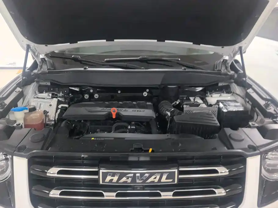 Haval Big Dog — фото 10