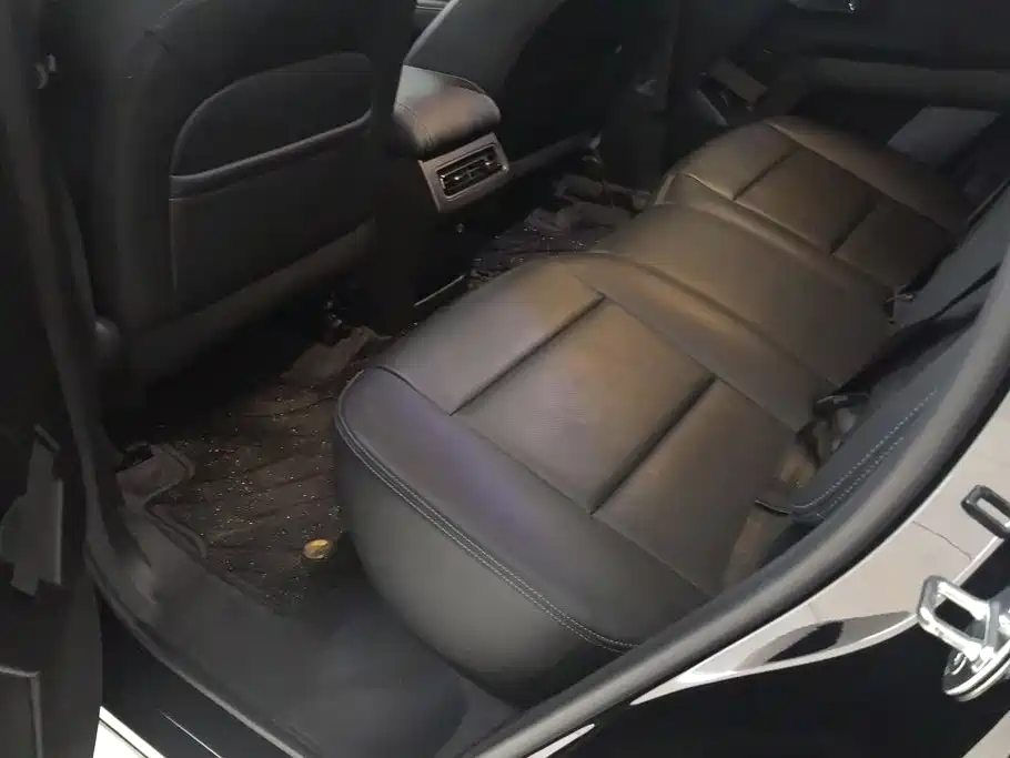 Haval Big Dog PLUS New Energy — фото 11