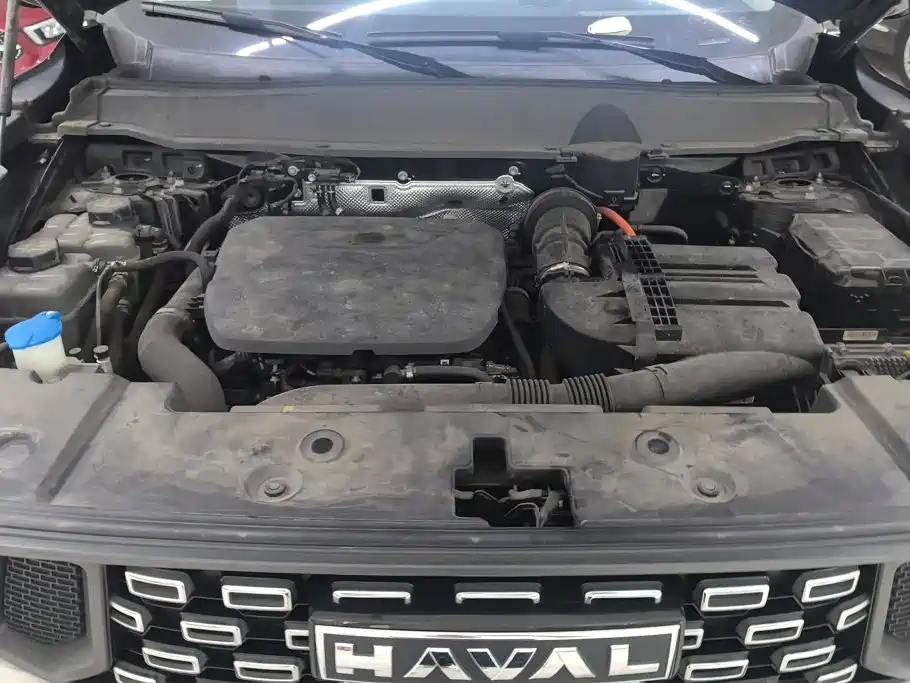 Haval Big Dog PLUS New Energy — фото 10