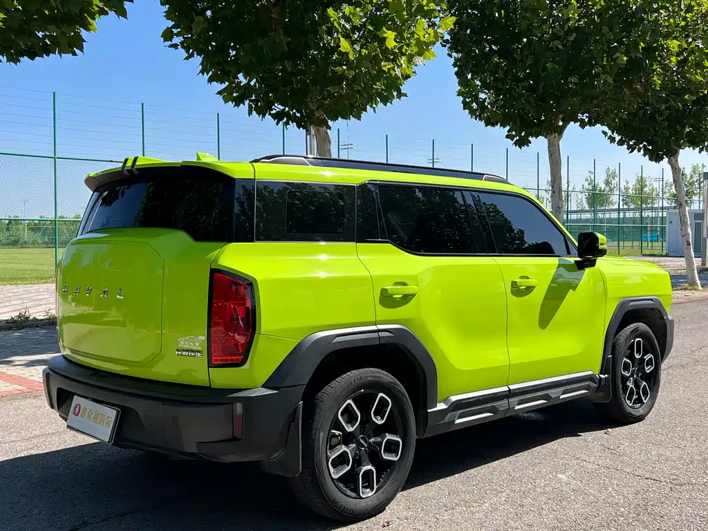 Haval Cool Dog — фото 6