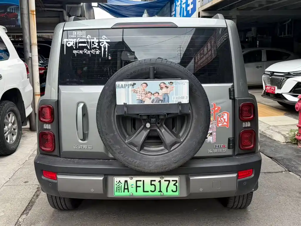 Haval Menglong New Energy — фото 10