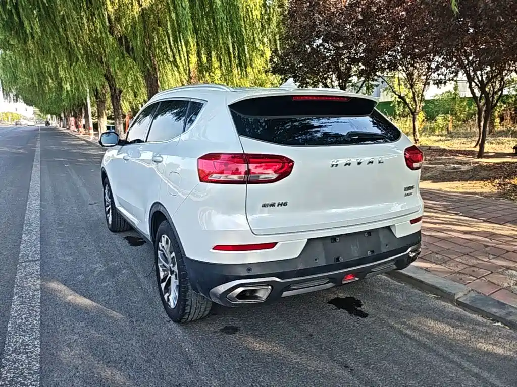 Haval H6 — фото 5