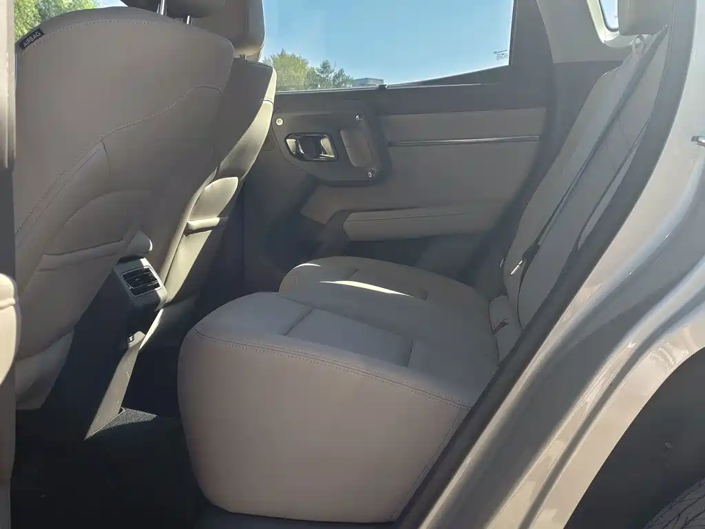 Haval Big Dog PLUS New Energy — фото 18