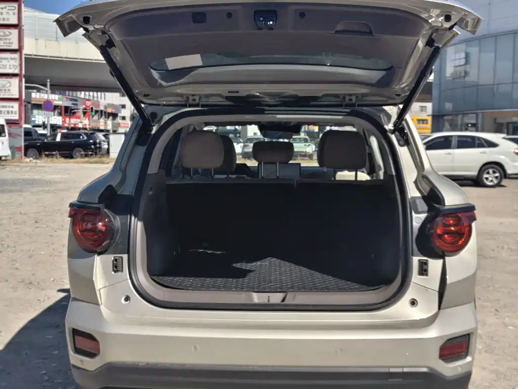 Haval Big Dog PLUS New Energy — фото 19
