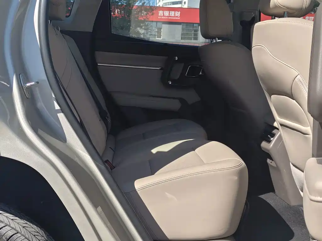 Haval Big Dog PLUS New Energy — фото 21