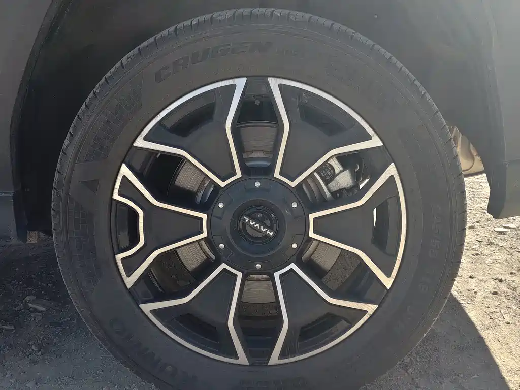 Haval Big Dog PLUS New Energy — фото 26
