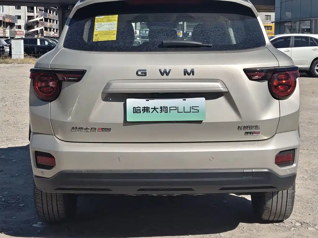 Haval Big Dog PLUS New Energy — фото 6