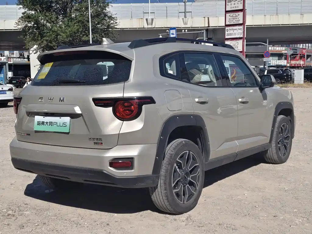 Haval Big Dog PLUS New Energy — фото 7