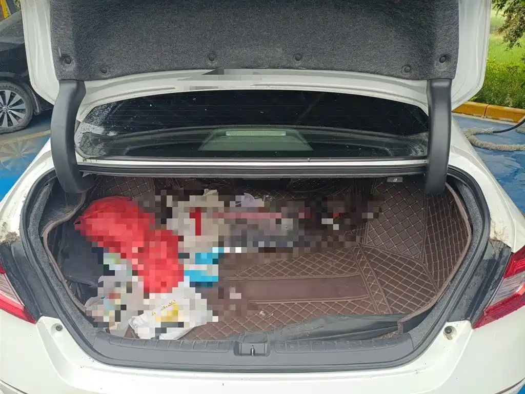 Honda Accord — фото 10