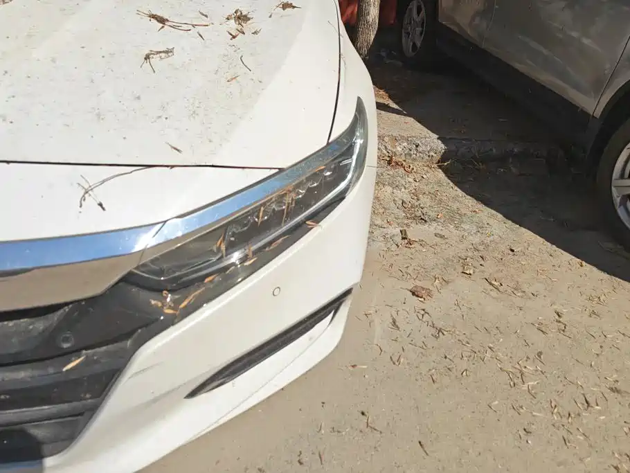 Honda Accord — фото 5