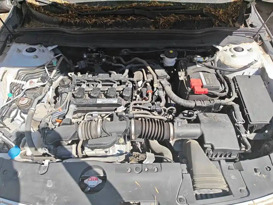 Honda Accord — фото 10
