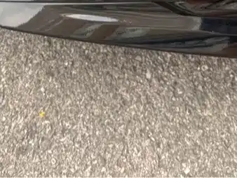 Honda Accord — фото 13