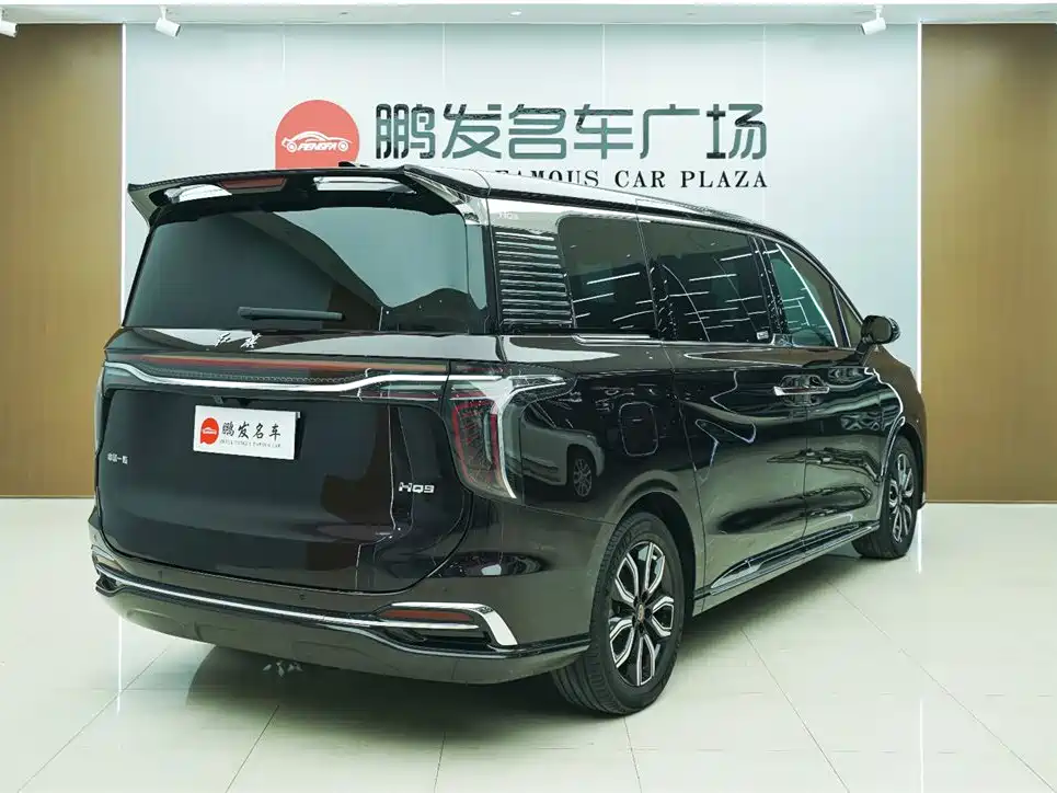 Hongqi Hongqi HQ9 — фото 18