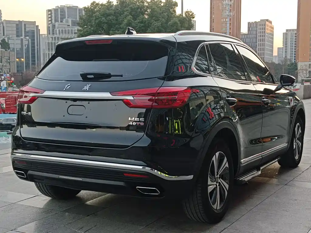 Hongqi Hongqi HS5 — фото 8