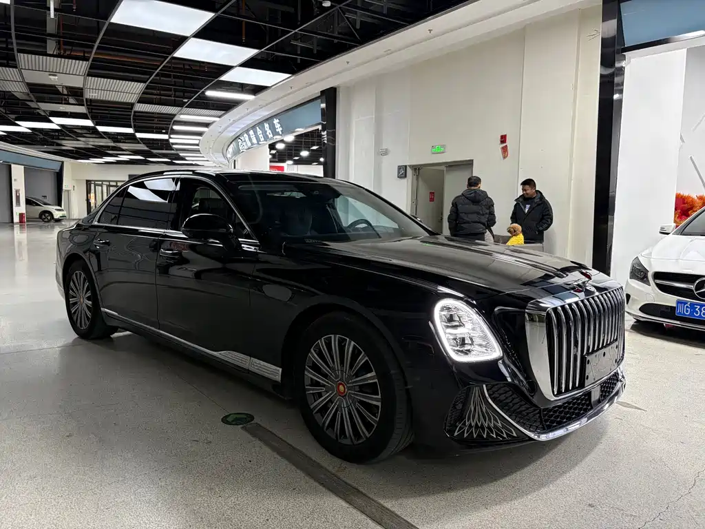 Hongqi Hongqi Golden Sunflower Guoya — фото 3