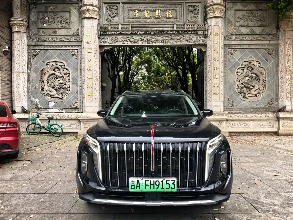 Hongqi Hongqi HS7 PHEV — фото 5