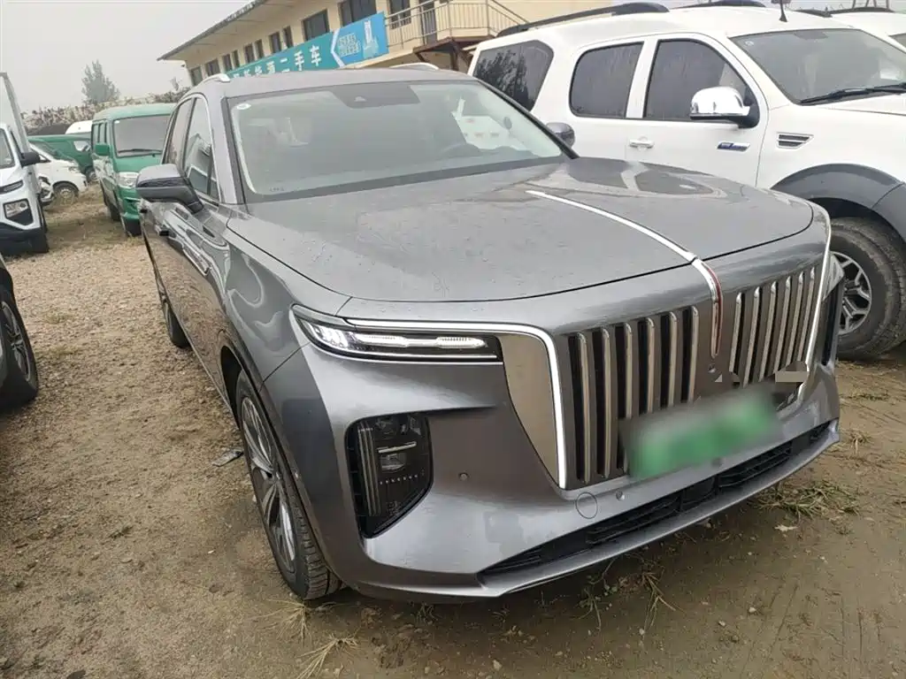 Hongqi Hongqi E-HS9 — фото 20