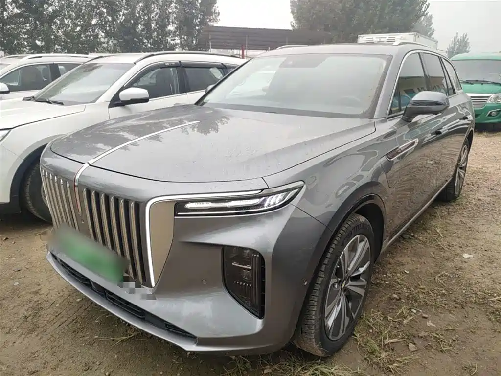 Hongqi Hongqi E-HS9