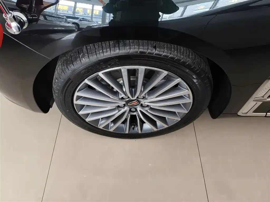 Hongqi Hongqi H9 — фото 23